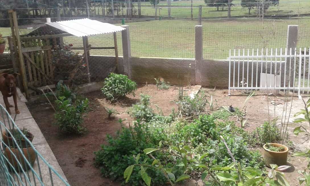 Foto 9 - CASA em SÃO JOSÉ DOS PINHAIS - PR, no bairro Campo Largo da Roseira - Referência PIL-CS0132