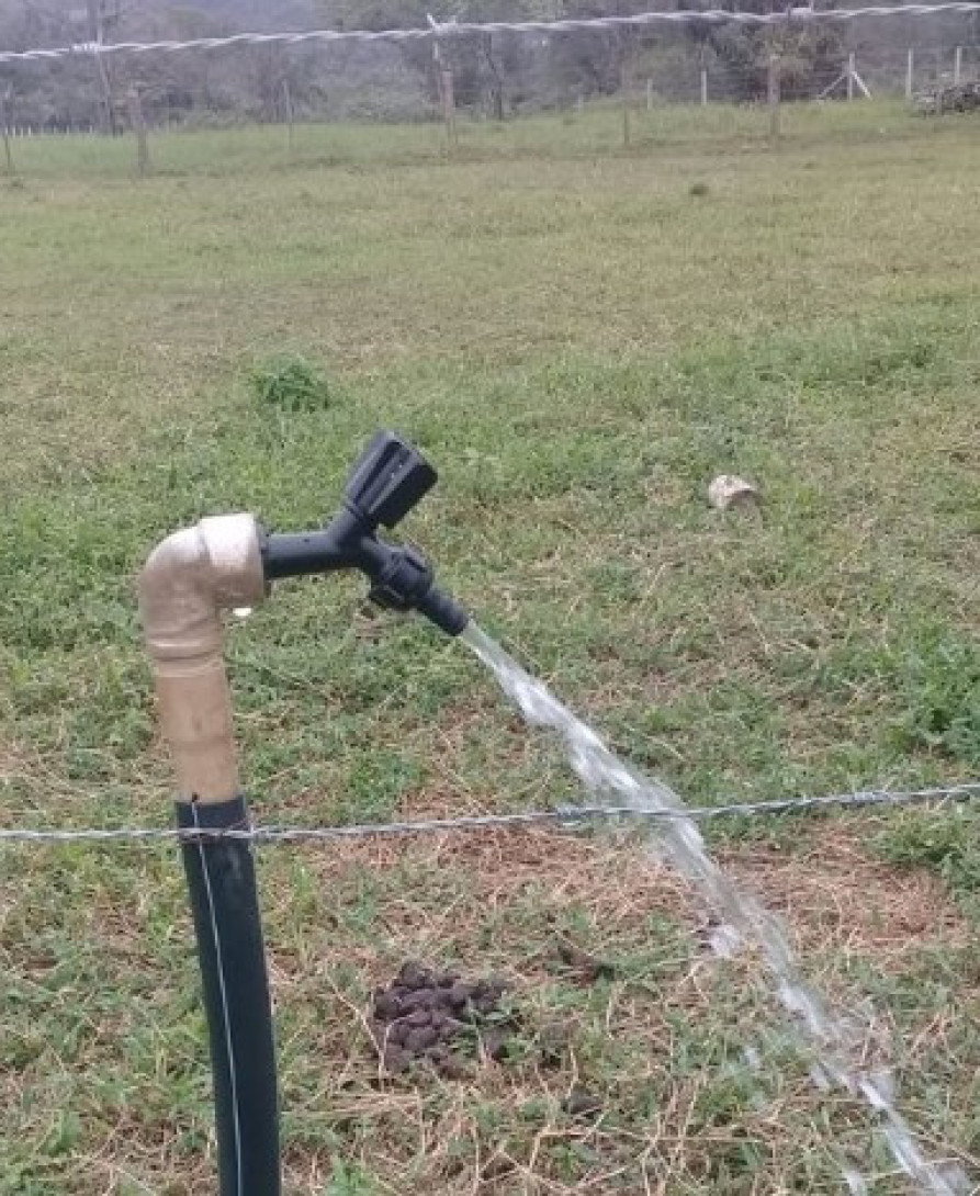 Foto 10 - ÁREA em ANTONINA - PR, no bairro zona rural - Referência 0386