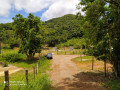 Foto 5 - ÁREA em ANTONINA - PR, no bairro zona rural - Referência 0386