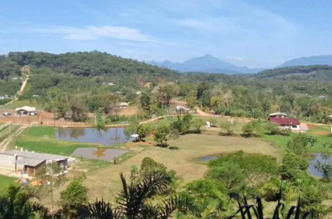 Foto 1 - ÁREA em ANTONINA - PR, no bairro zona rural - Referência 0386