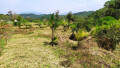 Foto 9 - ÁREA em ANTONINA - PR, no bairro zona rural - Referência 0386