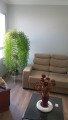 Foto 16 - APARTAMENTO em CURITIBA - PR, no bairro Mercês - Referência 0391