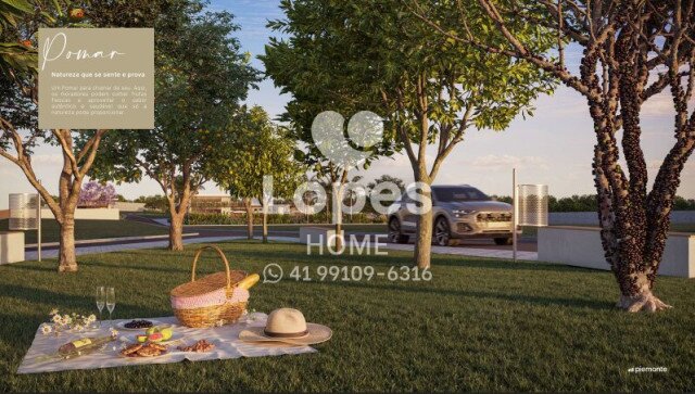 TERRENO EM CONDOMÍNIO no Bairro: Ouro Fino - Lopes Home - São José Dos Pinhais - foto 6