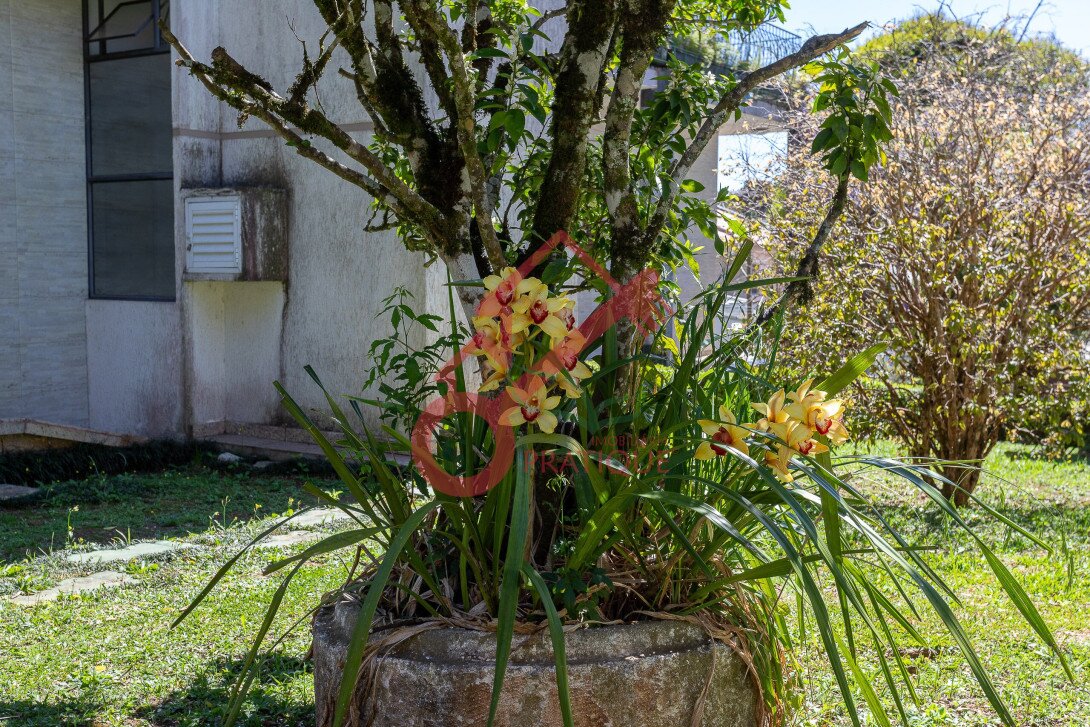 Foto 56 - CASA em CURITIBA - PR, no bairro Barreirinha - Referência PIV-CASA0576