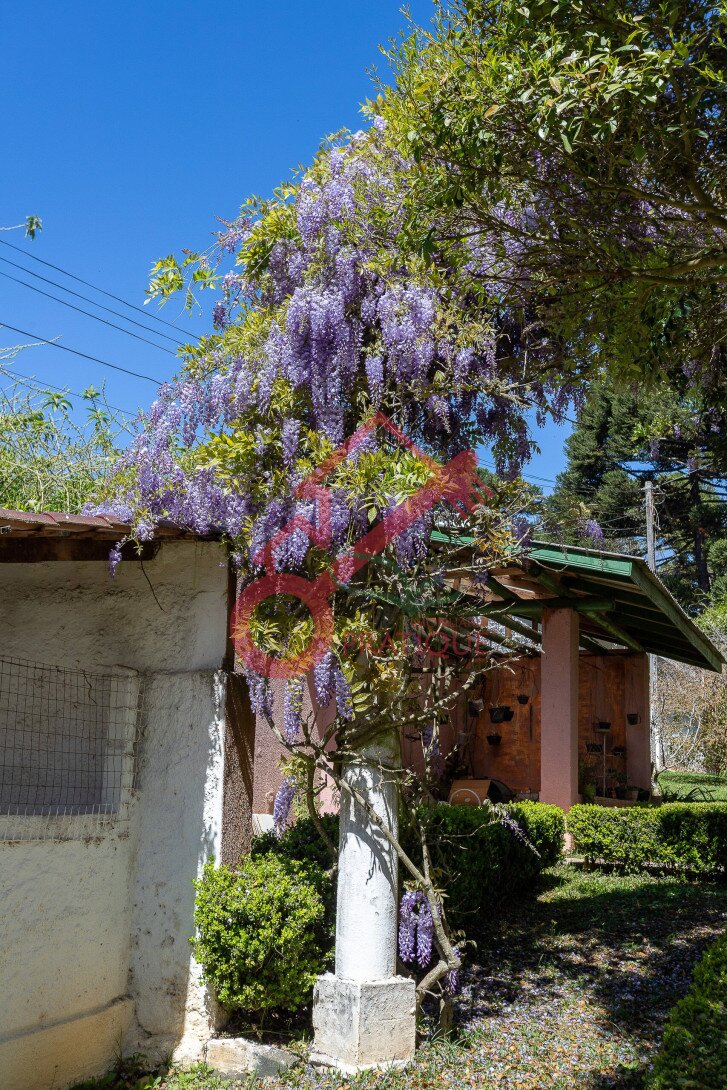 Foto 68 - CASA em CURITIBA - PR, no bairro Barreirinha - Referência PIV-CASA0576