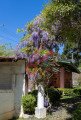 Foto 68 - CASA em CURITIBA - PR, no bairro Barreirinha - Referência PIV-CASA0576