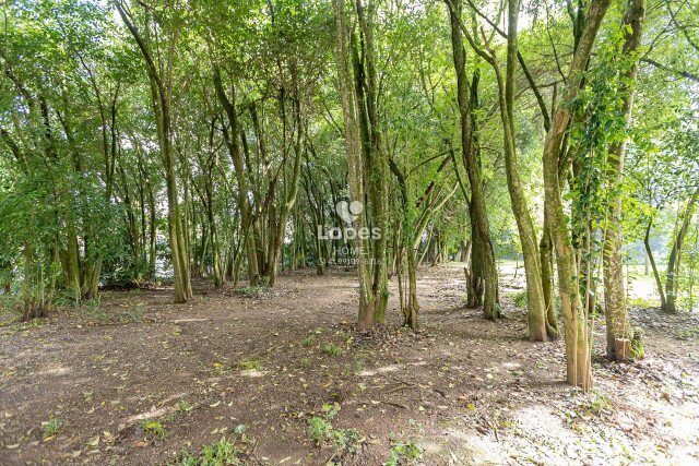 APARTAMENTO no Bairro: Campo Comprido - Lopes Home - Curitiba - foto 48