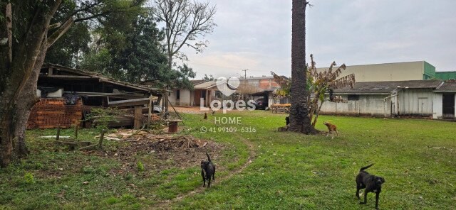 TERRENO no Bairro: Emiliano Perneta - Lopes Home - Pinhais - foto 9
