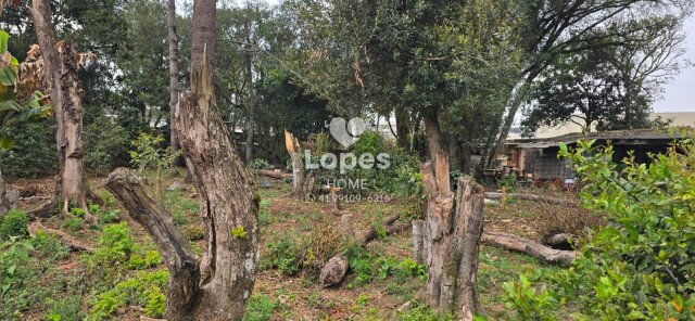 TERRENO no Bairro: Emiliano Perneta - Lopes Home - Pinhais - foto 11