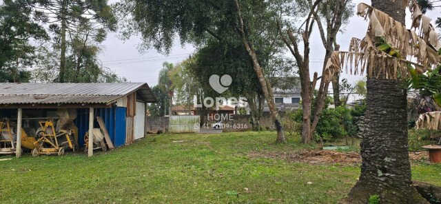 TERRENO no Bairro: Emiliano Perneta - Lopes Home - Pinhais - foto 12