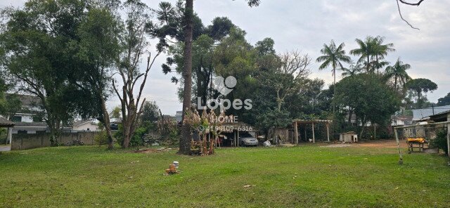TERRENO no Bairro: Emiliano Perneta - Lopes Home - Pinhais - foto 18