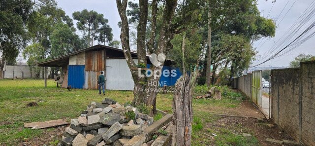 TERRENO no Bairro: Emiliano Perneta - Lopes Home - Pinhais - foto 20