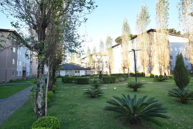APARTAMENTO no Bairro: Cidade Industrial - Lopes Home - Curitiba - foto 8