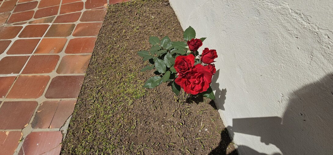 Foto 34 - CASA em CURITIBA - PR, no bairro Fazendinha - Referência PIV-CASA0593